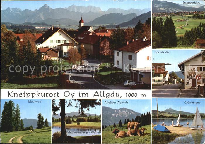 Oy Bad Mittelberg Oberallgaeu Bayern Gesamtansicht Moorweg Alpvieh Gruentensee D