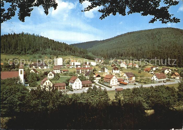 Enzkloesterle Teilansicht