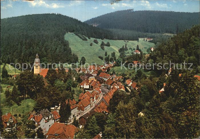 Wildemann Harz Goslar Niedersachsen