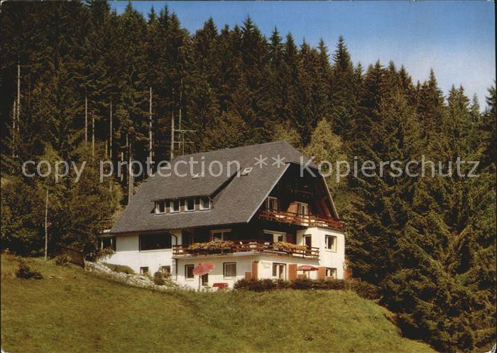 Hinterzarten Breisgau-Hochschwarzwald BW Gaestehaus Thome