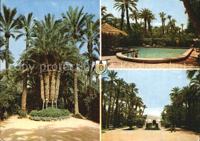 Elche Schwimmbad