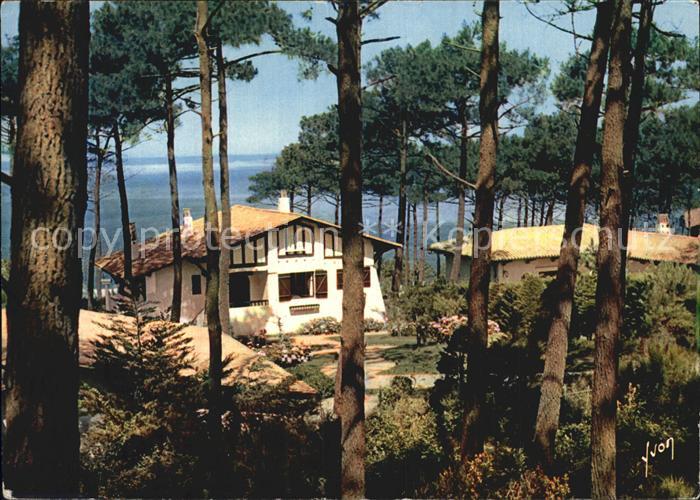 Gironde-sur-Dropt Villa dans la pinede