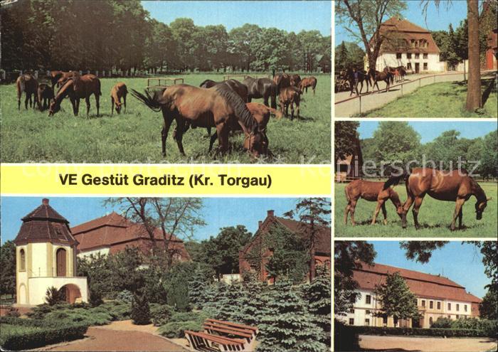 Graditz VE Gestuet