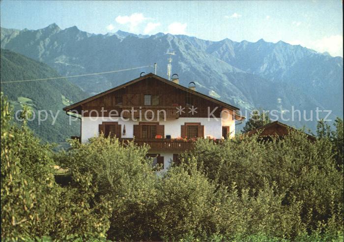 Voellan Lana Steinkellerhof Urlaub auf dem Bauernhof