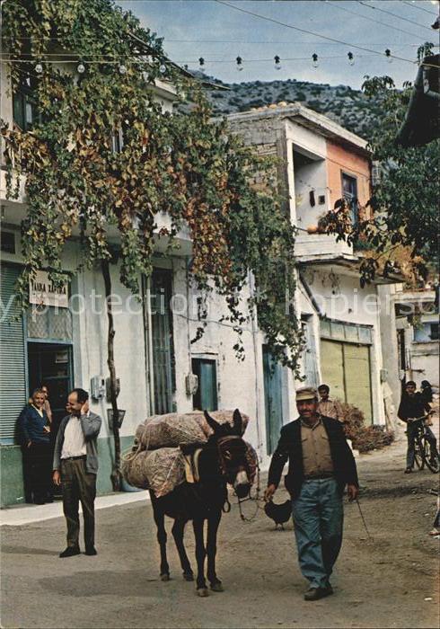 Kreta Crete Strassenpartie mit Esel