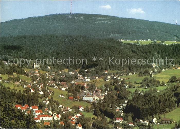 Warmensteinach Fliegeraufnahme mit Geiersberg und Fleckl