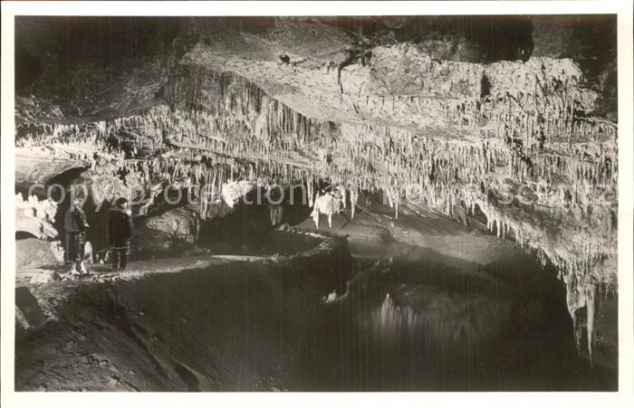 Hoehlen Caves Grottes Han-sur-Lesse Salle des Draperies
