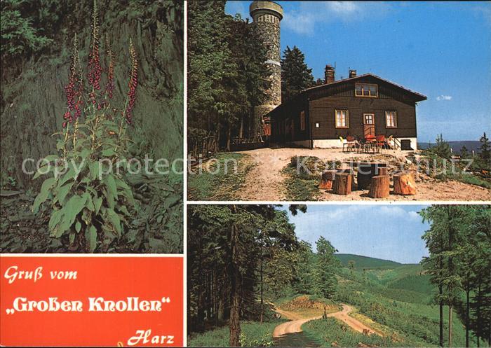 Herzberg Harz Berg-Restaurant Grosser Knollen
