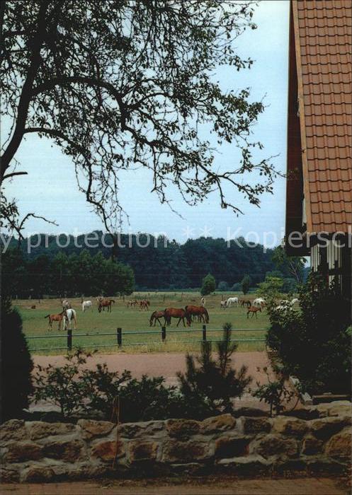 Stroehen Naturpark Stutenweide