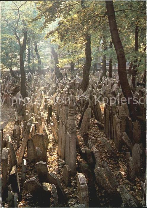 Prag Prahy Prague The State Jewish Museum Friedhof