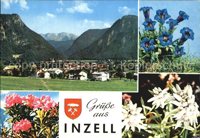 Inzell Traunstein Bayern Panorama Blumenbilder
