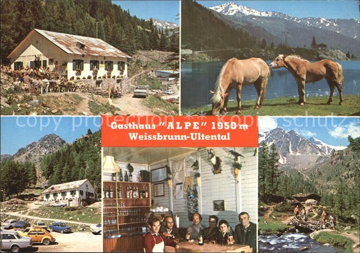 Ultental Gasthaus Alpe Pferdekoppel Gastraum Panorama
