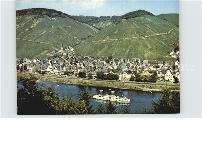 Ediger Mosel Panorama