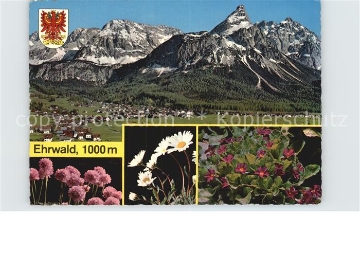 Ehrwald Tirol Panorama