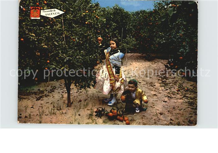 Valencia Valenciana Ernte