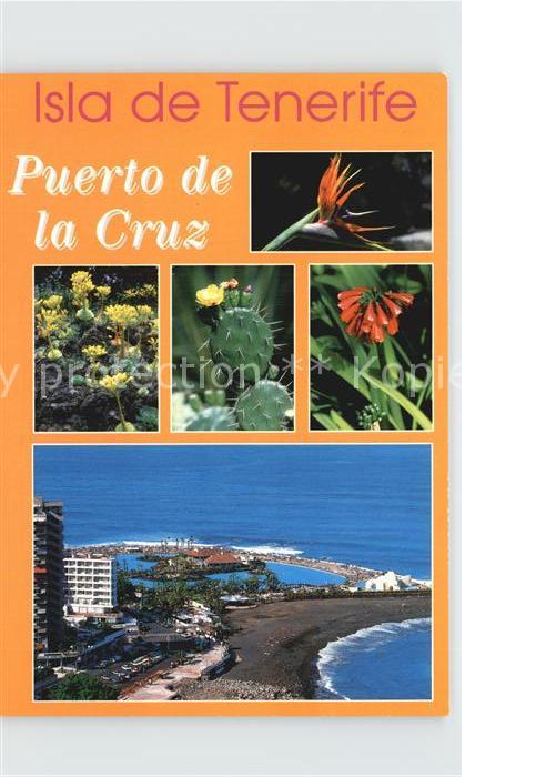 Puerto de la Cruz Panorama Blumen