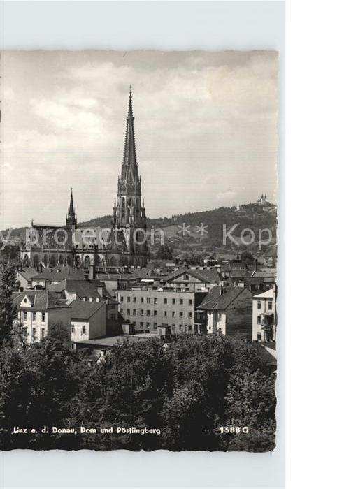 Linz Donau Dom und Poestlingsberg
