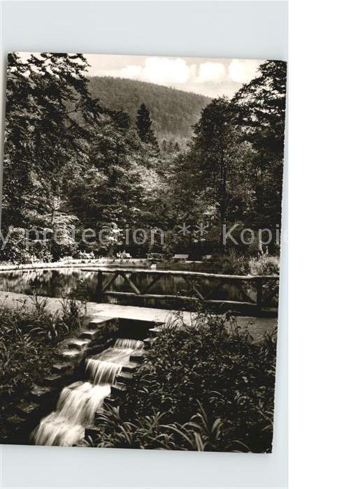 Bad Harzburg Sennhuettenteich