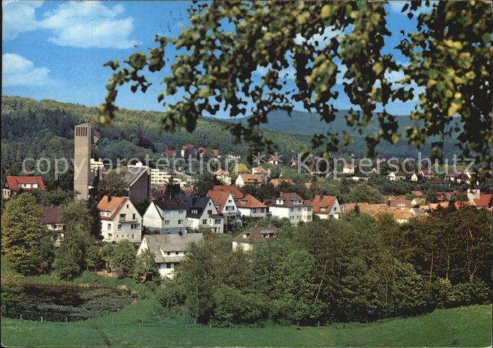 Bad Sachsa Harz Blick vom Knickberg