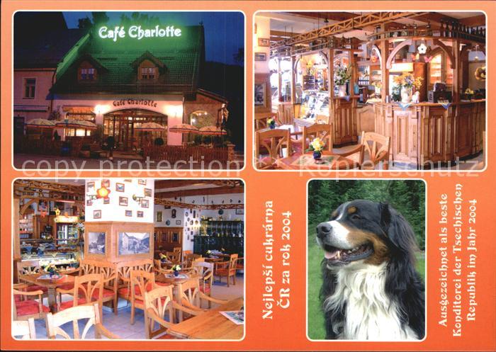 Zelezna Ruda Markt Eisenstein Cafe Charlotte Bar Gastraum