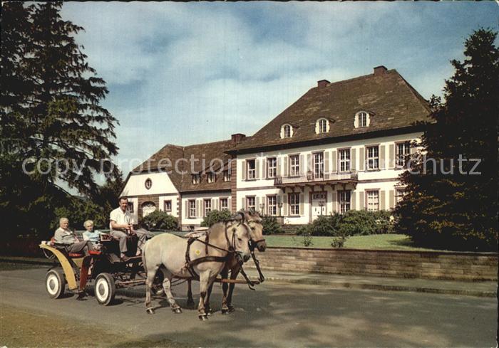 Neuhaus Solling Schloss Pferdekutsche