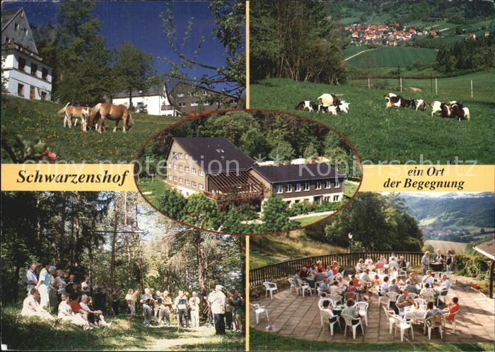 Schwarzenshof Haflinger Eichfeld Hausansicht Platz am Kreuz Grillabend