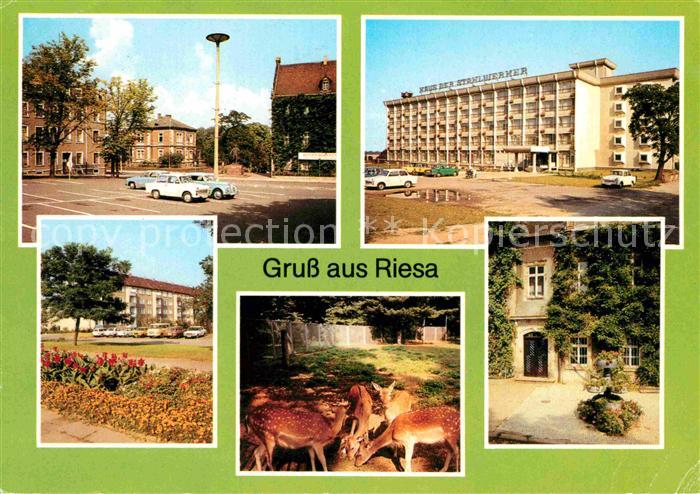 Riesa Sachsen Leninplatz Haus der Stahlwerker Greifswalder Strasse Tierpark Rath