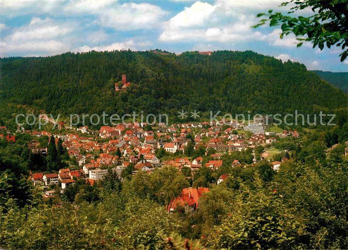 Bad Liebenzell Panorama mit Burg Liebenzell