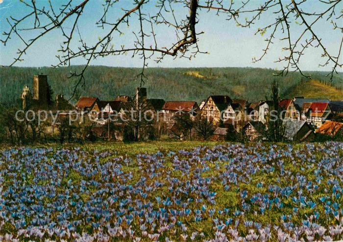 Zavelstein Teilansicht