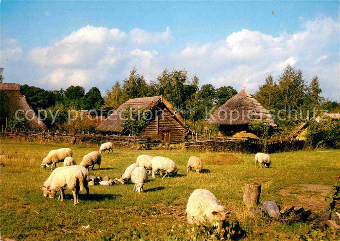 Zehlendorf Berlin Museumsdorf Dueppel Schafe