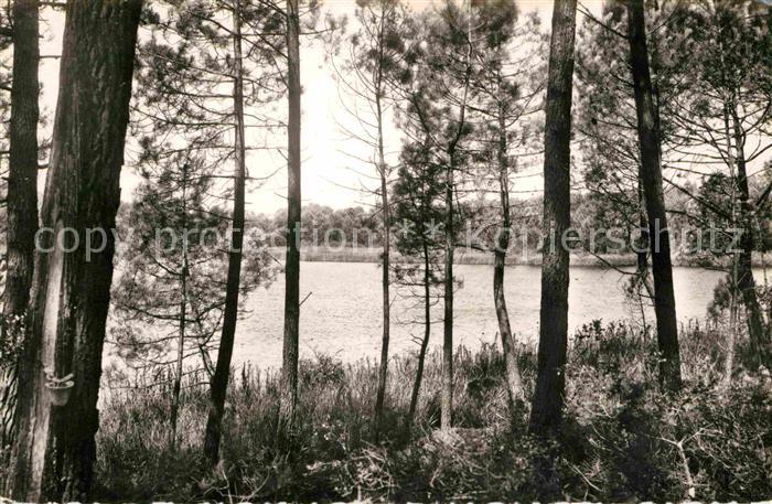 Capbreton Hossegor Le Courant