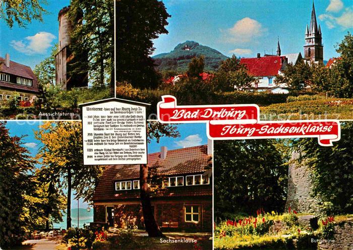 Bad Driburg Iburg-Sachsenklause Aussichtsturm Burgruine