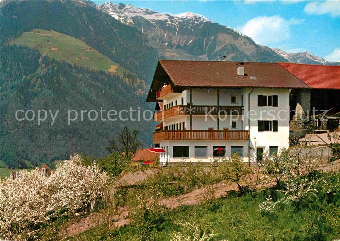 Schenna Meran Garni Nunnemairhof Baumbluete Alpen
