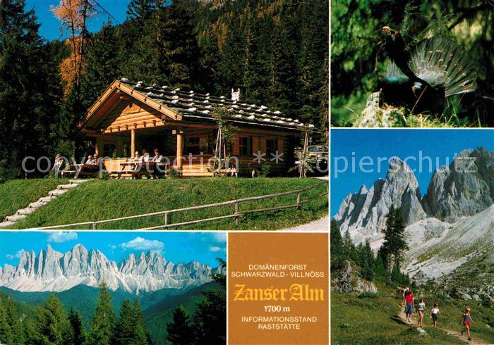 Villnoess Zannser Alm Villnoesstal Dolomiten Bergwandern Domaenenforst Schwarzwa