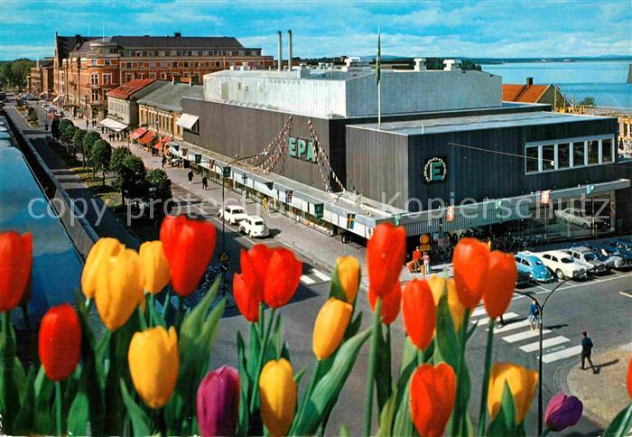 Lulea Storgatan Hauptstrasse Tulpen