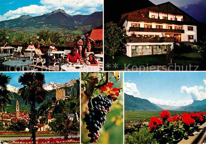 Marling Hotel Pension Glanzhof Weintrauben Alpenpanorama