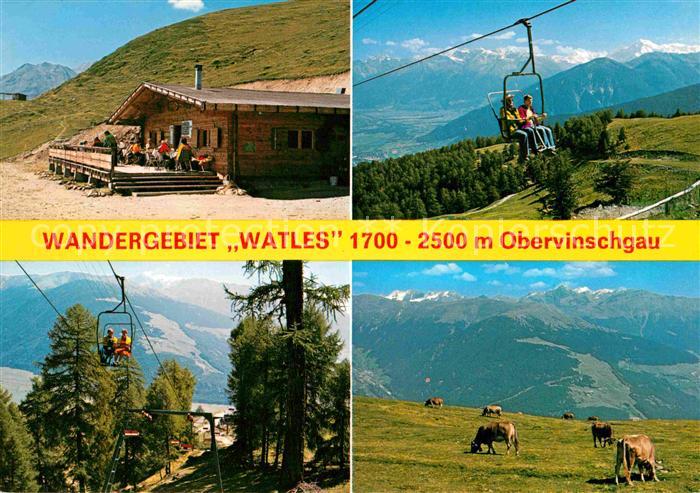 Vinschgau Val Venosta Wandergebiet Watles Berghuette Sesselbahn Almvieh Kuehe Al