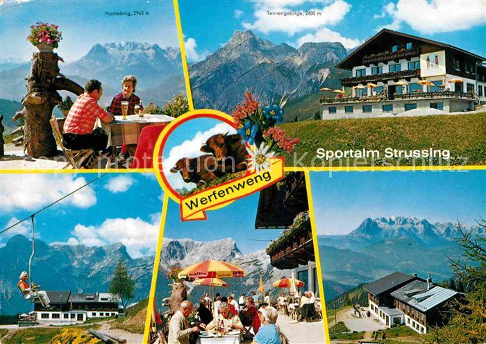 Werfenweng Gasthof Restaurant Sportalm Strussing Kuehe Alpenflora Alpenpanorama