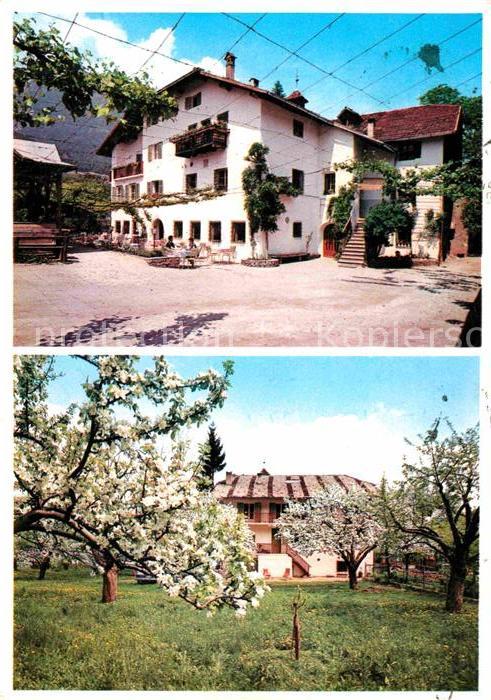 Eppan Suedtirol Restaurant Stroblhof Obstbaumwiese Baumbluete