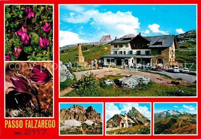Passo Falzarego im Sommer Berghotel Gebirgspass Dolomiten Alpenflora