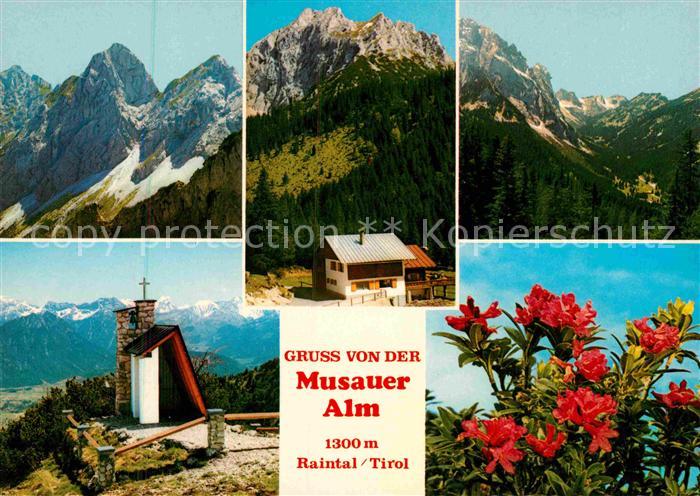 Musau Tirol Musauer Alm Gebirgspanorama Kapelle Alpenflora