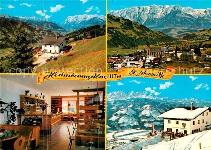 St Johann Pongau Alpengasthof Hahnbaum Alm Alpenpanorama