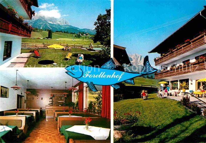 Going Wilden Kaiser Tirol Hotel Restaurant Forellenhof Alpenblick