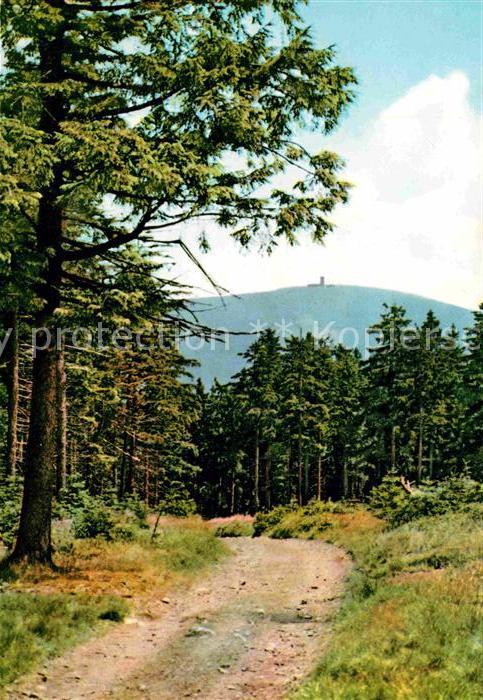 Harz Region Brockenblick