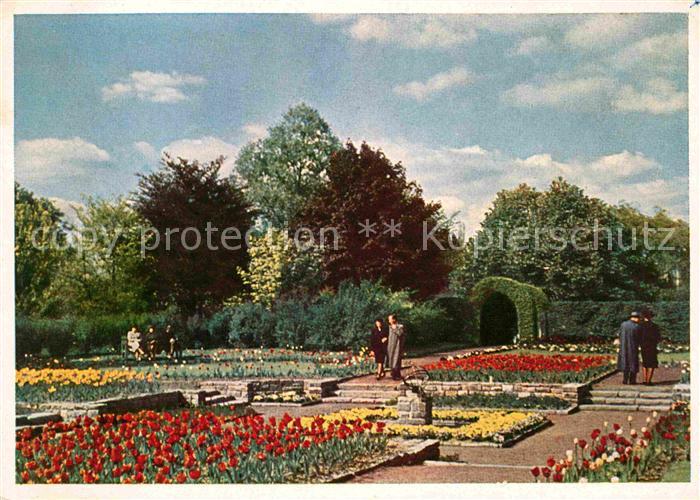 Essen Ruhr Grugapark Botanischer Garten