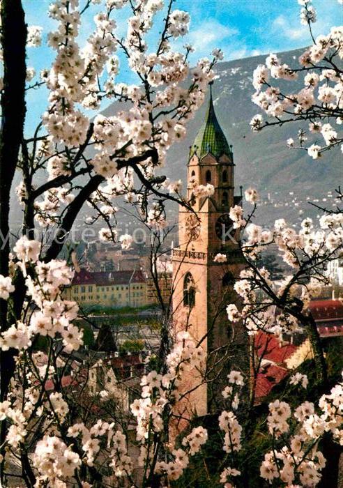 Merano Meran Fruehlingsbluete Kirche