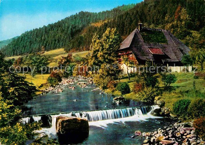 Hornberg Schwarzwald Schwarzwaldbauernhaus Bachlauf Wasserfall Herbststimmung