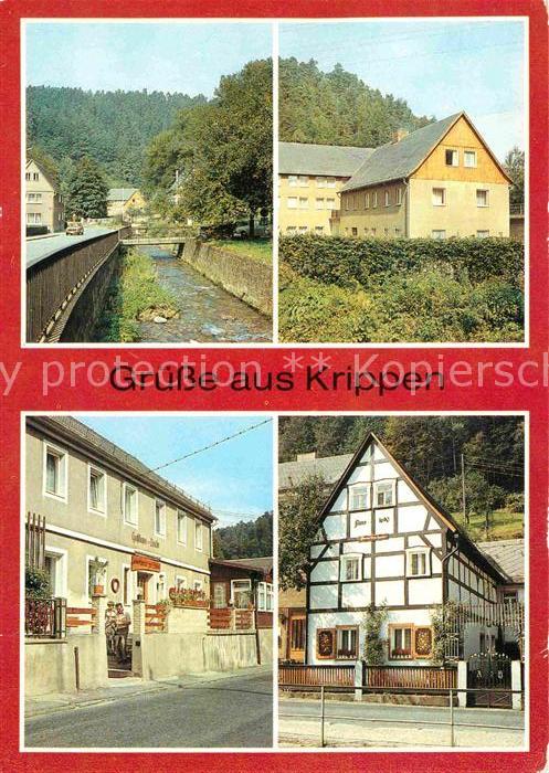 Krippen Bad Schandau Teilansicht Ferienheim Gasthaus Zur Linde