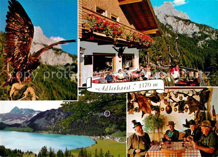 Haldensee Adlerhorst Berggaststaette Adler Greifvogel