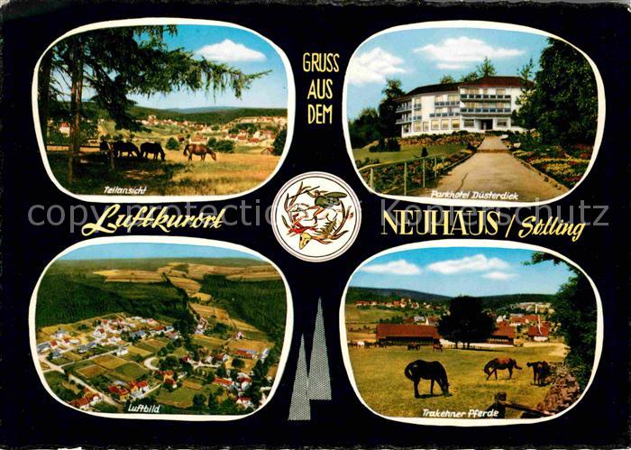 Neuhaus Solling Teilansicht Parkhotel Duesterdiek Trakehner Pferde Luftbild